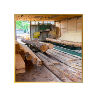 naravni les za izdelavo masivnega pohištva